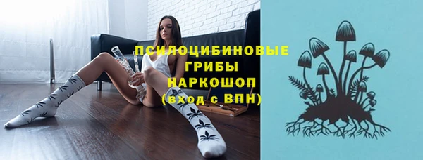 стафф Вяземский