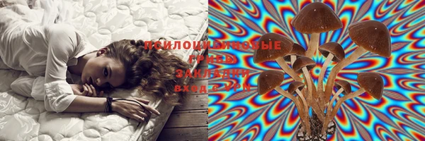 марки nbome Тавда