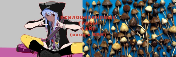 марки nbome Вязники