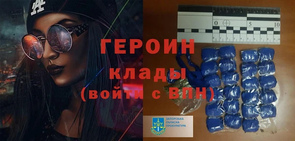 прущие грибы Тайга