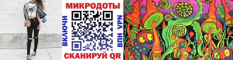 Галлюциногенные грибы Psilocybe  Карасук 