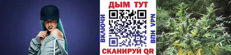 Бошки Шишки семена Карасук